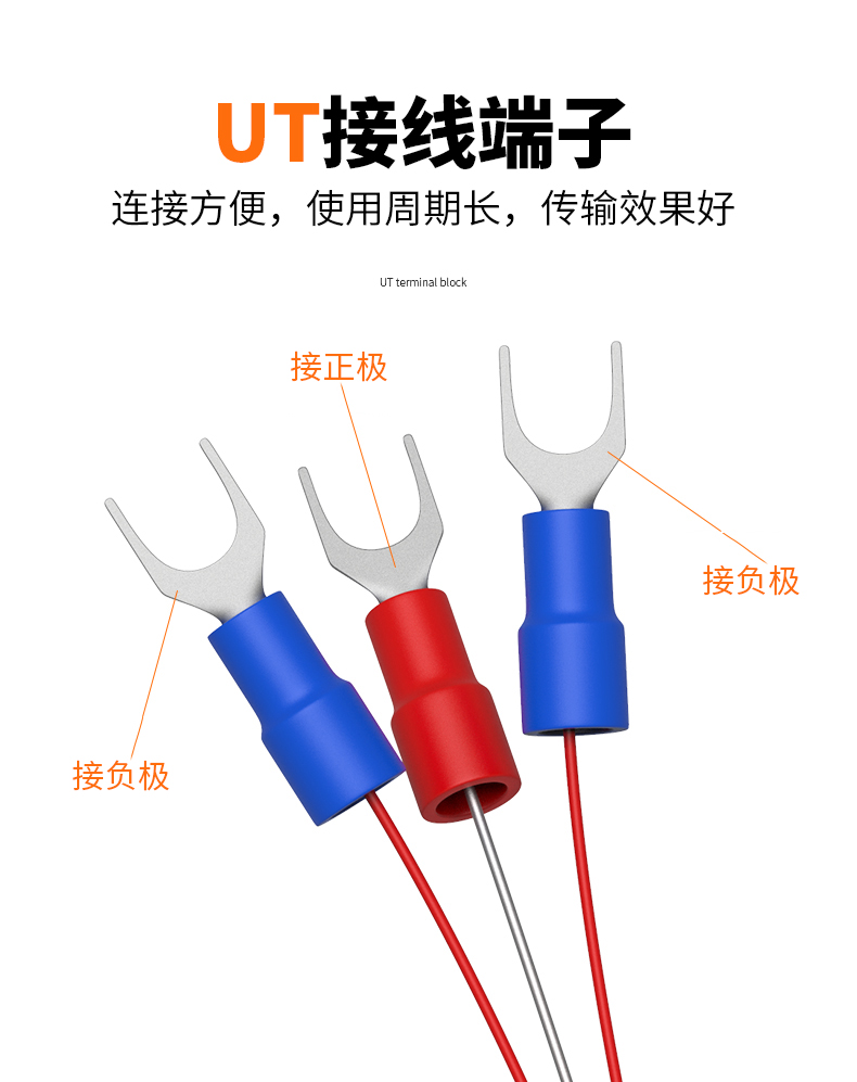 鐵氟龍熱電阻12_http://www.qdshcn.com_溫度儀表_第12張